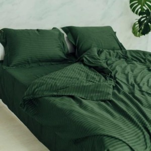 Постельное белье Комфорт-Текстиль - Stripe Elite Green cтрайп-сатин евро 200x220