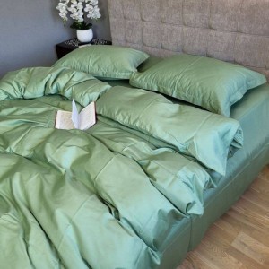 Постельное белье Комфорт-Текстиль Fresh Green сатин  двухспальный 180x215