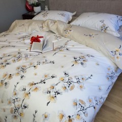 Постельное белье Комфорт-Текстиль - Adagio Beige cotton двухспальный на резинке